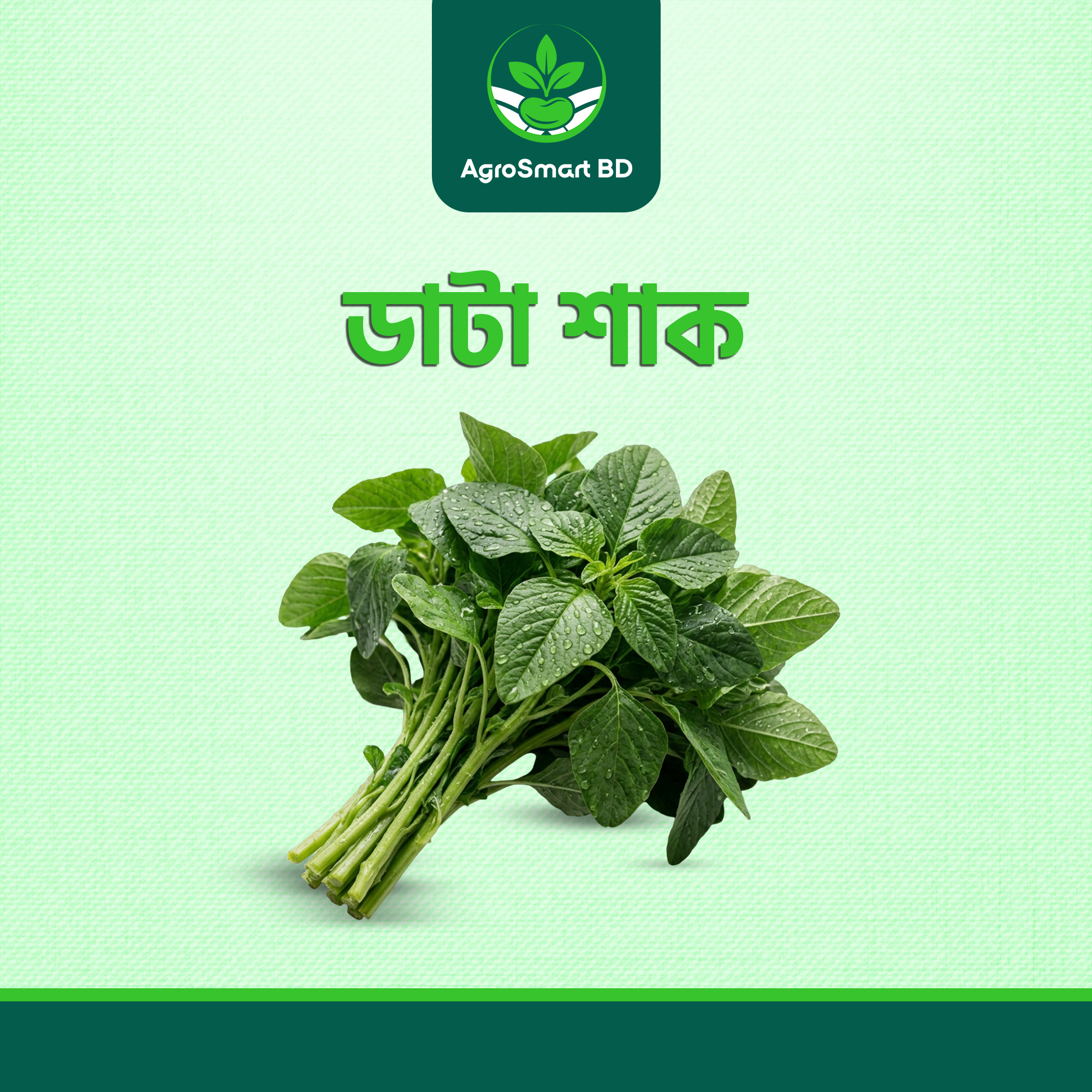 ডাটা শাক