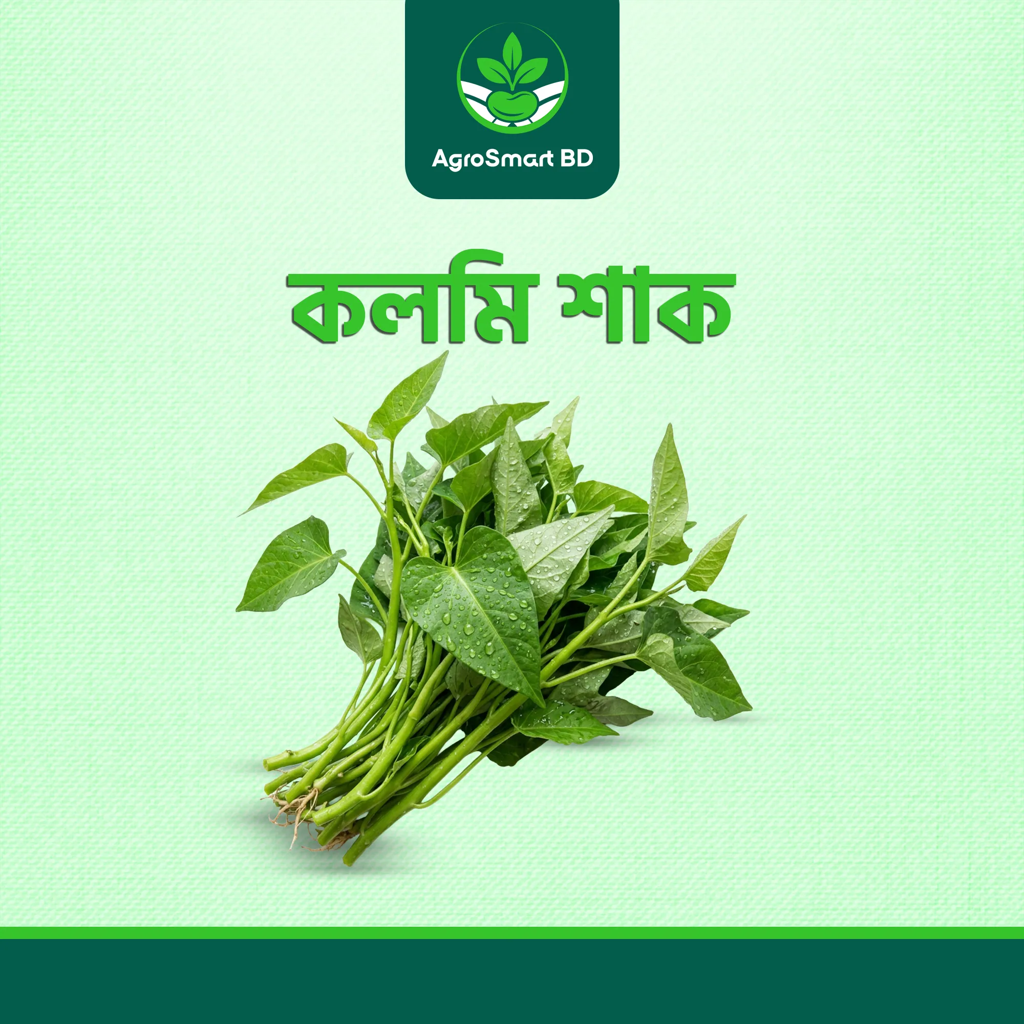 কলমি শাক